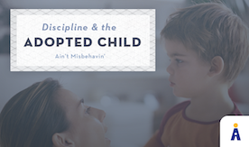 Discipline and the Adopted Child: Ain't Misbehavin'