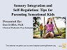 Sensory Integration and Self-Regulation Presentation